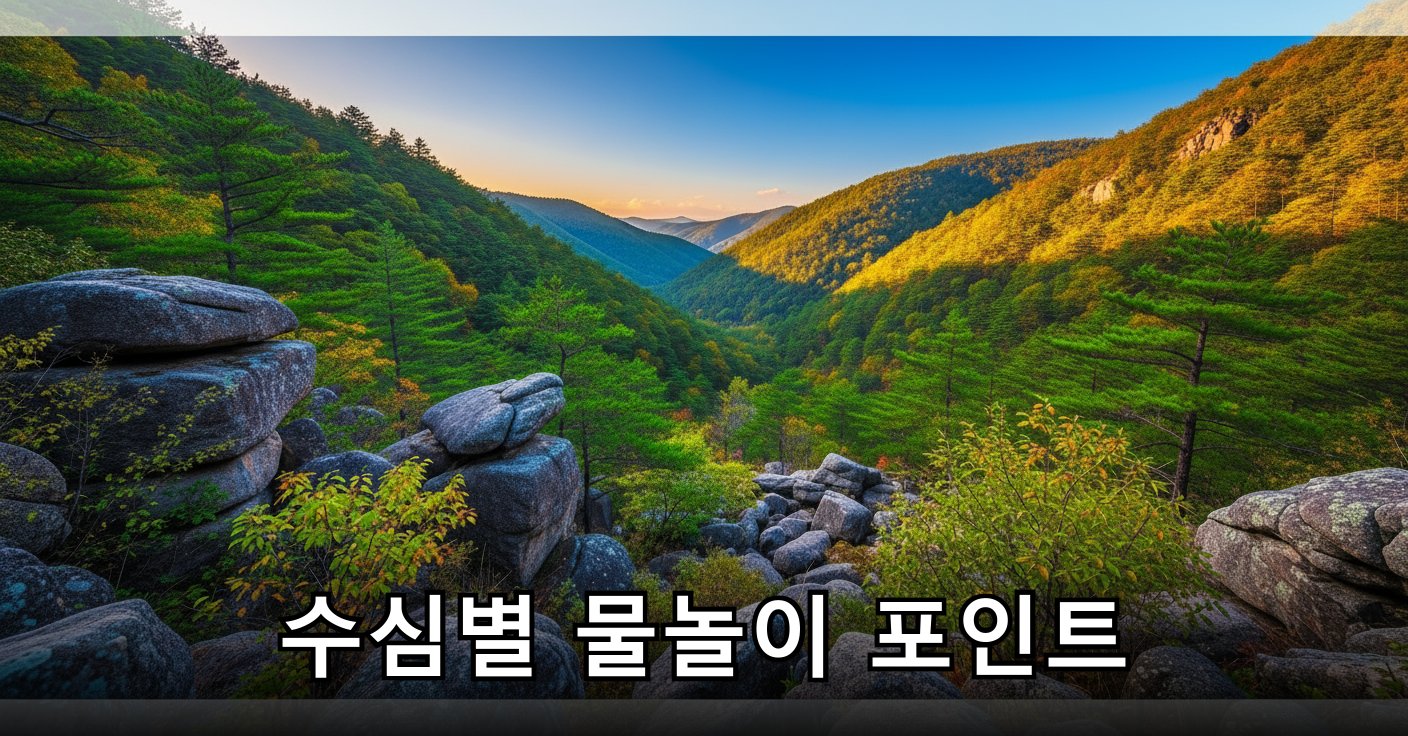 계곡 주변의 울창한 숲과 바위들