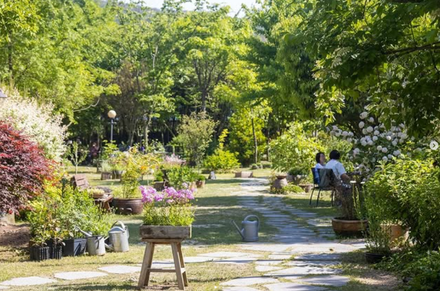 특색있고 아름다운 민간 정원 30선 추천 여행 - 11. 경주 야생화일기 정원