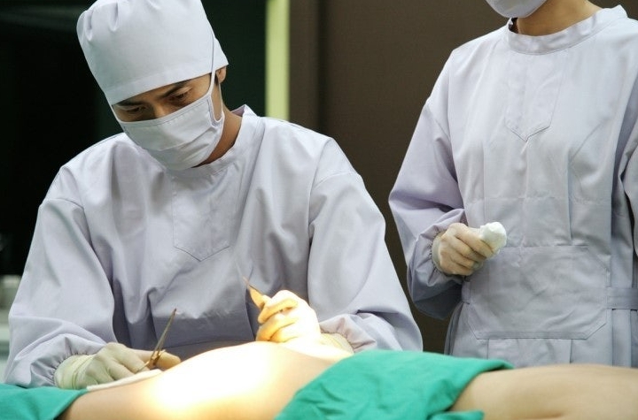 펜트하우스 코끼리 관련 이미지