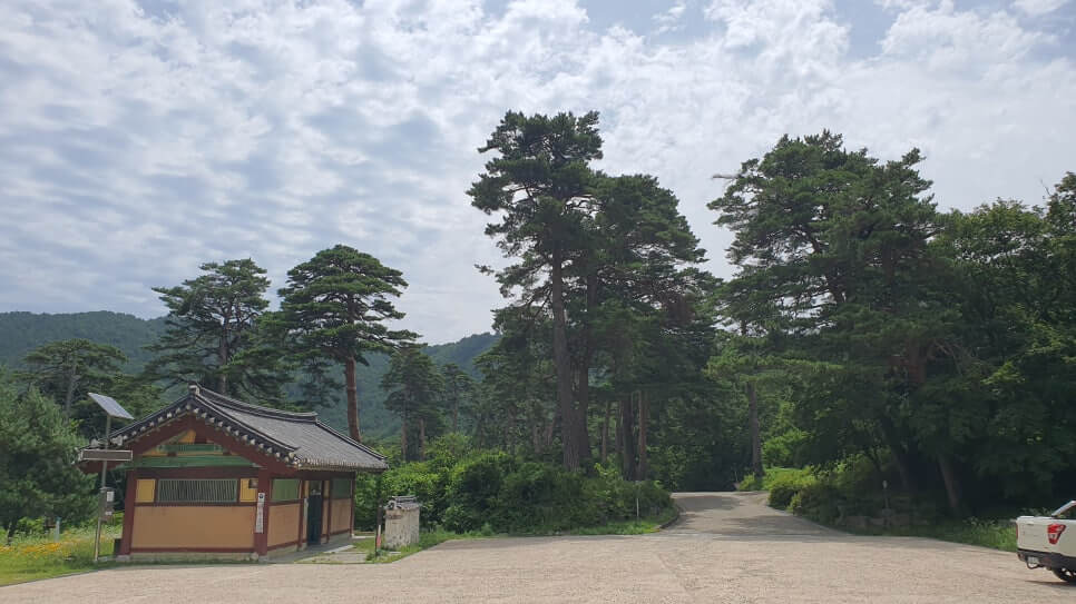 고성 건봉사 : 석가모니 부처의 진신 치아사리를 볼 수 있는 절 민통선 너머 숨겨진 천년의 성지