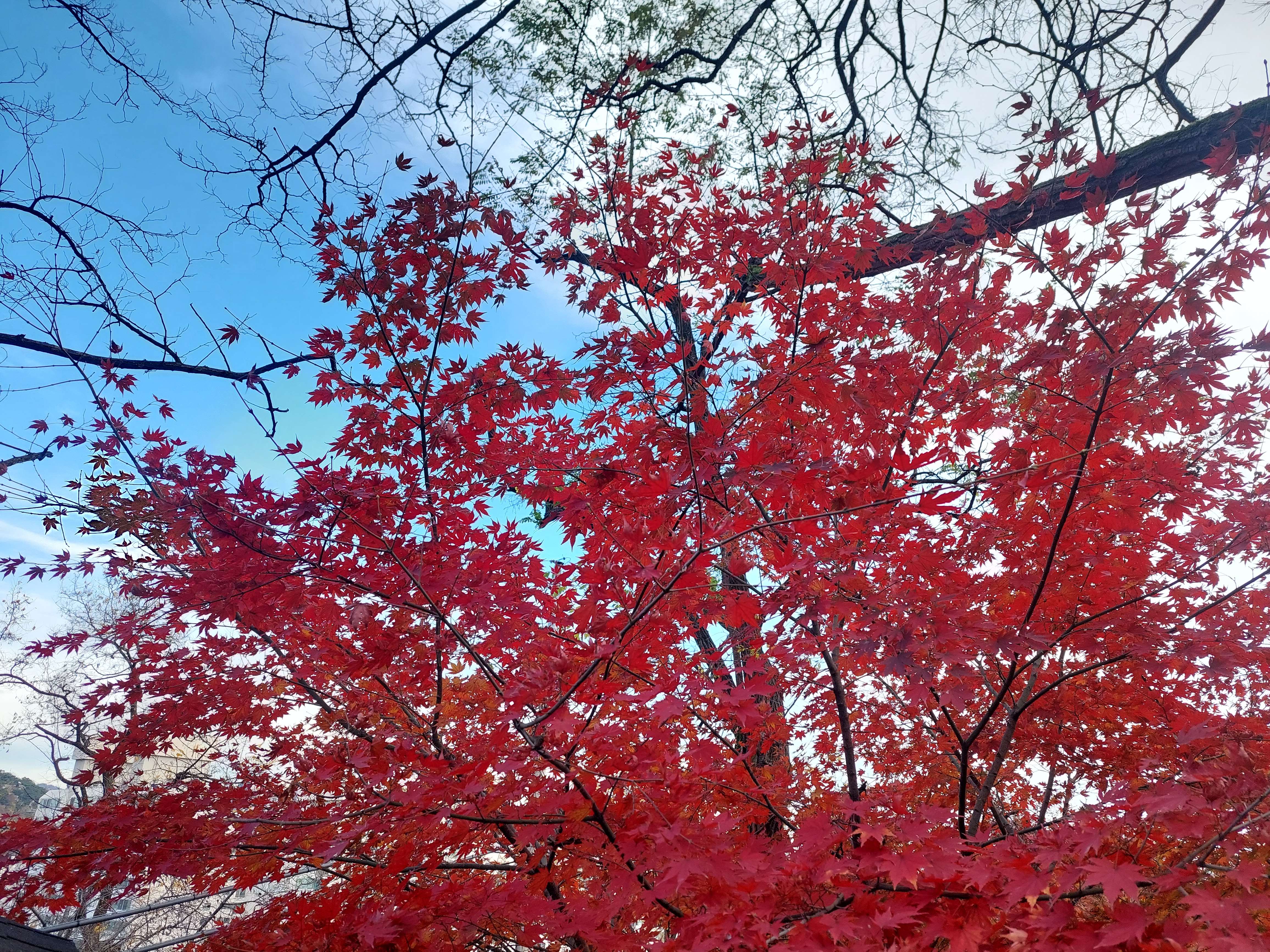 안산