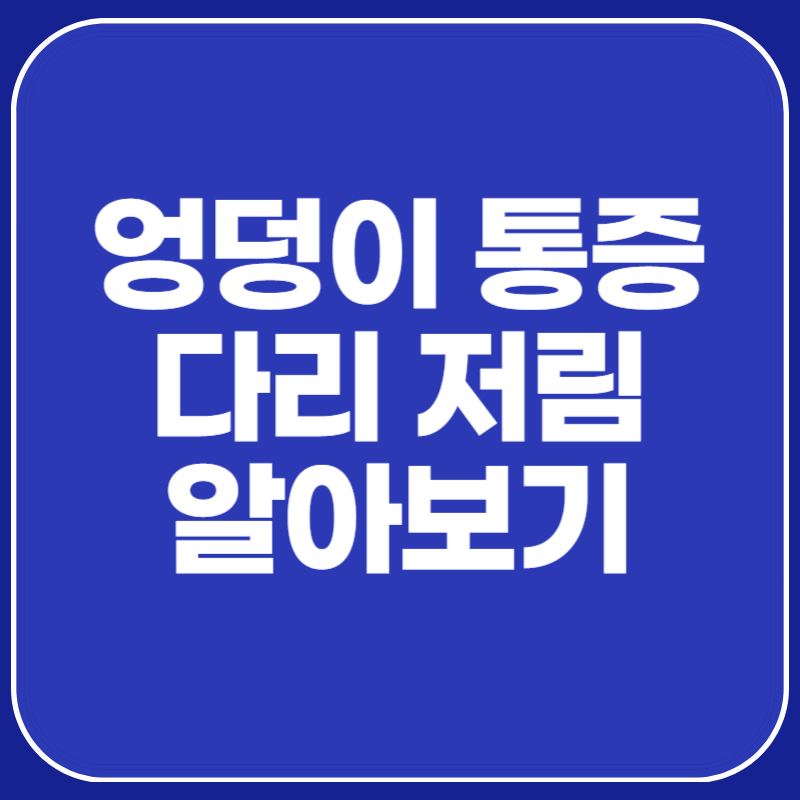 엉덩이 통증 다리 저림