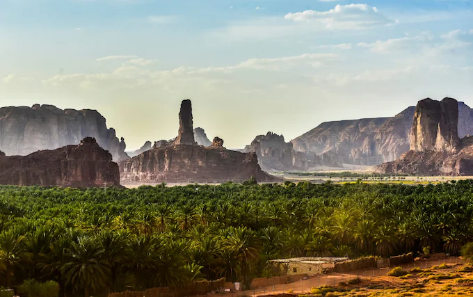 알울라 오아시스(AlUla Oasis)