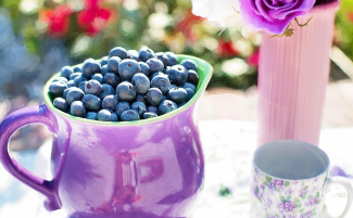 냉동블루베리 먹는법