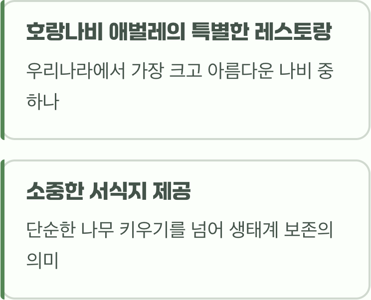 나비들을 위한 특별한 식당