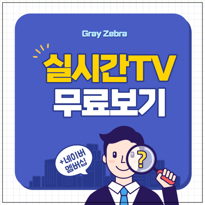 실시간 tv보기