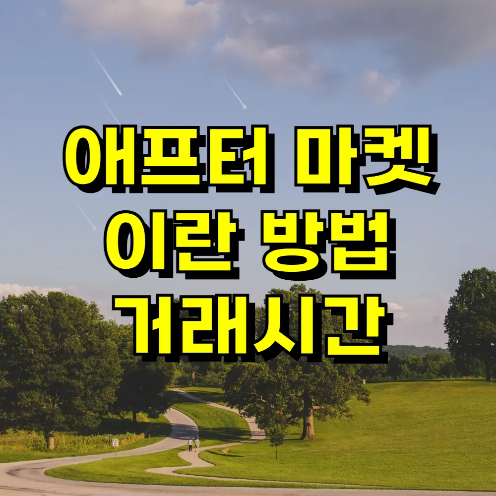 애프터 마켓 이란 방법 거래시간