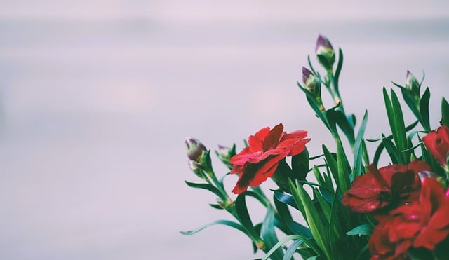 스승의 날 문구