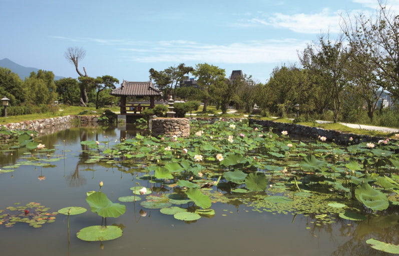 양평세미뭔 이미지