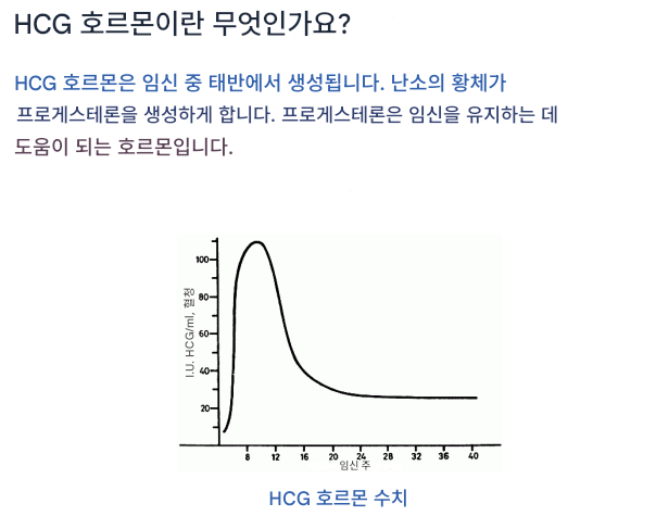 hCG(인간 융모성 생식선 자극 호르몬)이란?