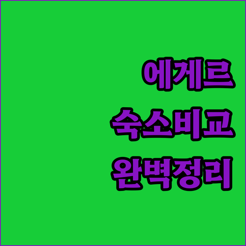 에게르 시내 중심가 숙소와 스파 호텔..