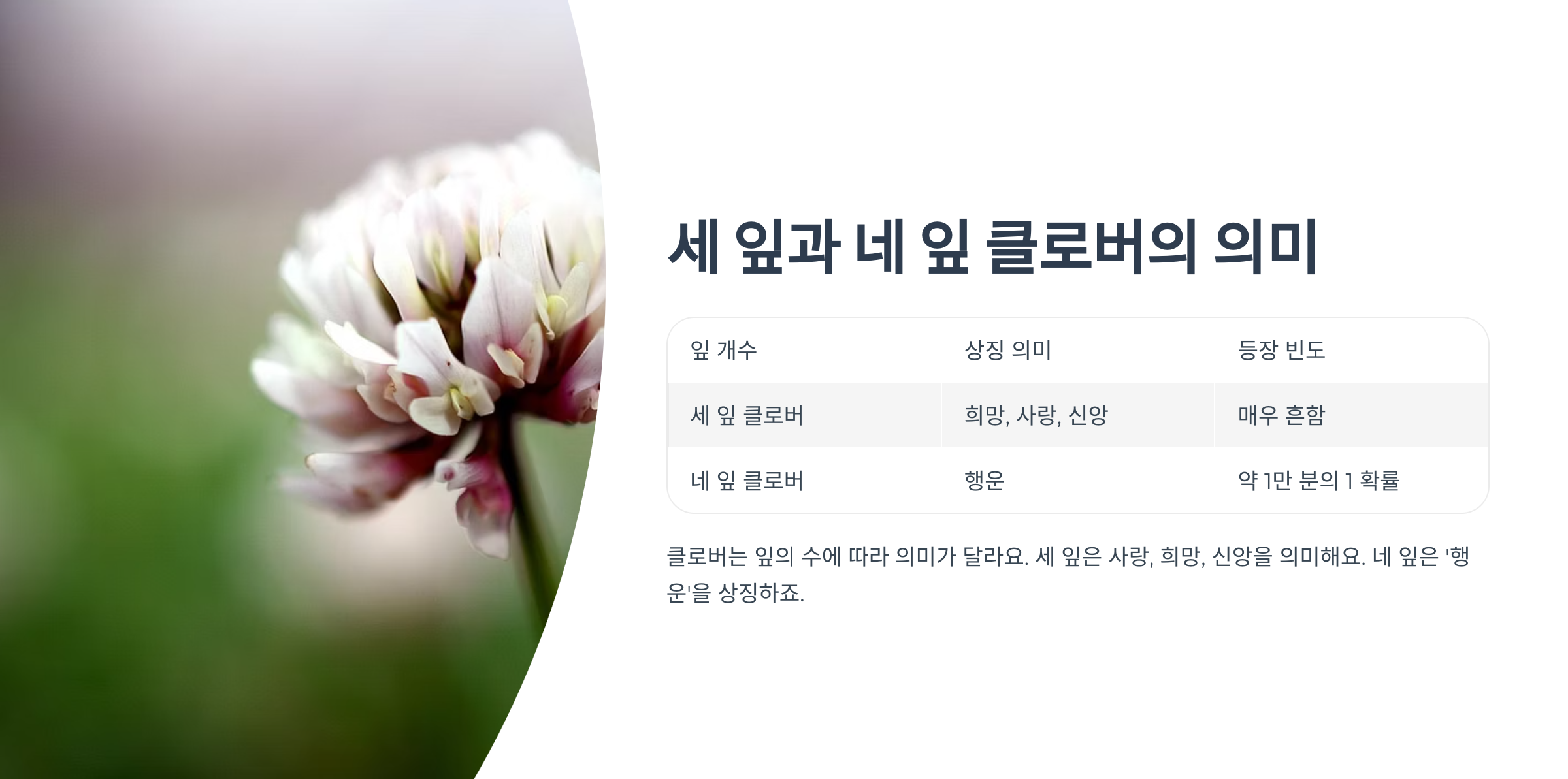 네잎클로버