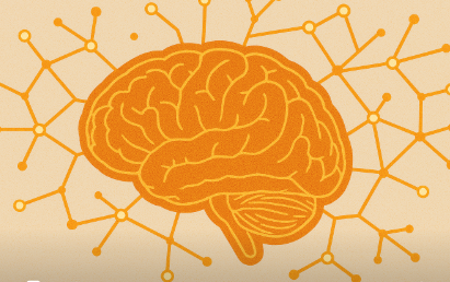 뇌가소성의 핵심 메커니즘