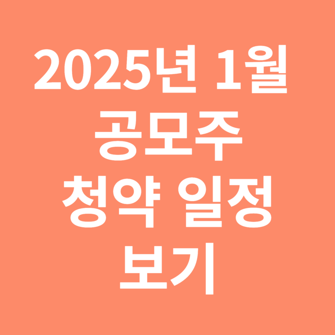 2025년 1월 공모주 청약 일정보기