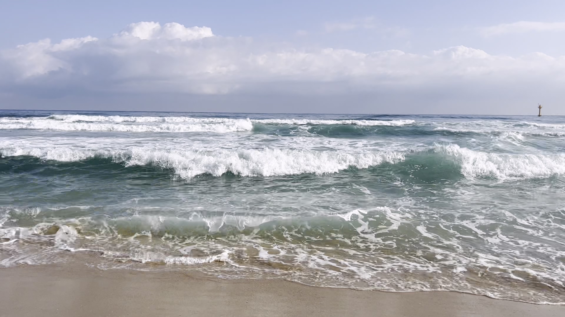 삼척 쏠비치리조트 근처 맛집