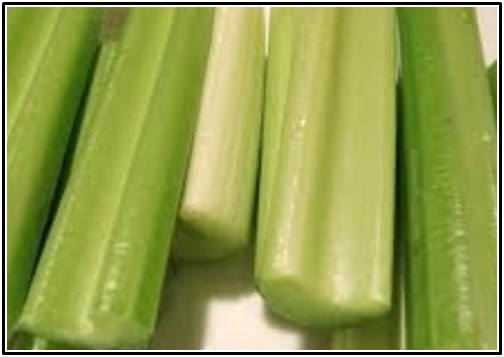 위내시경 금식시간 음식