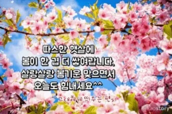 봄 인사말 모음 예시 메일_22
