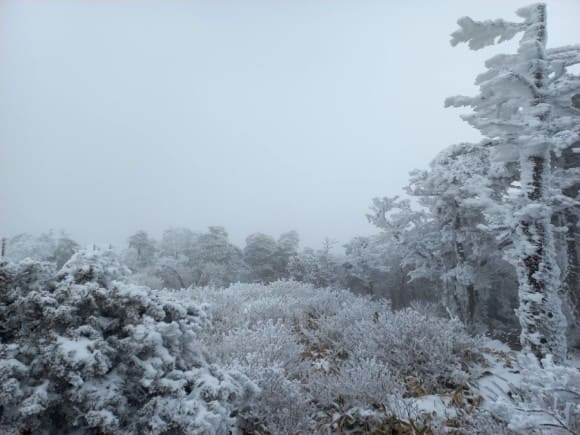 우리나라 최고의 설경 이 곳!