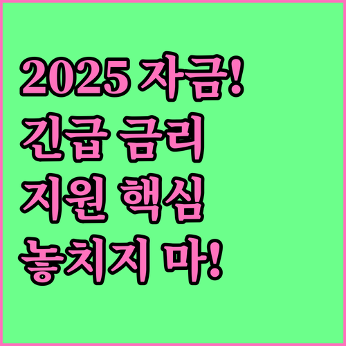 중소기업진흥공단 2025 긴급경영안정..