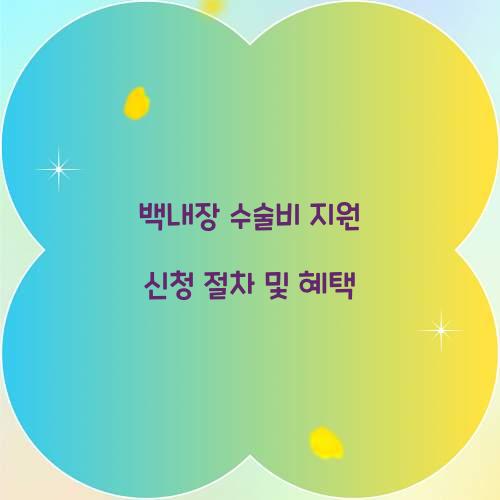 백내장 수술비 지원 신청