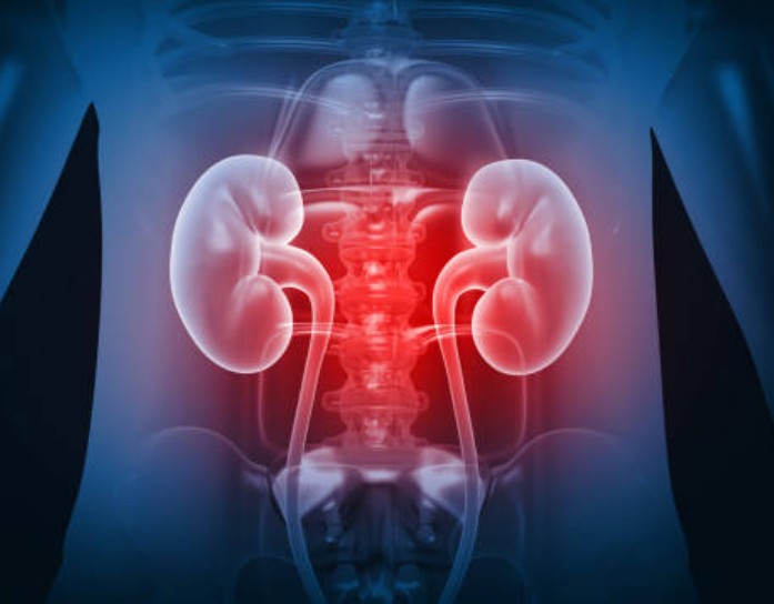 신장에 좋은 음식 주의사항