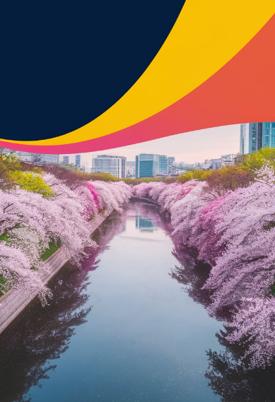 제주도 벚꽃 개화시기 2025