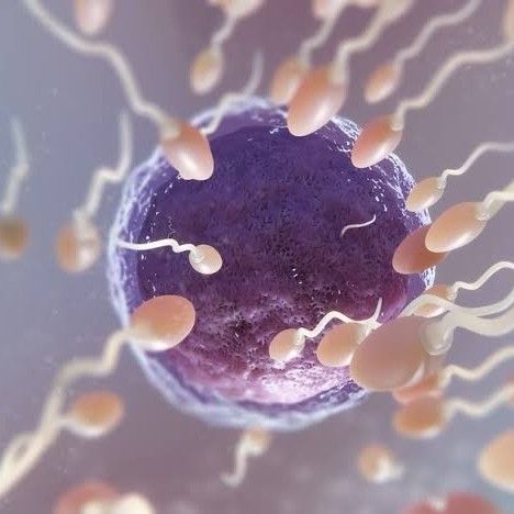 생리중-임신-가능성