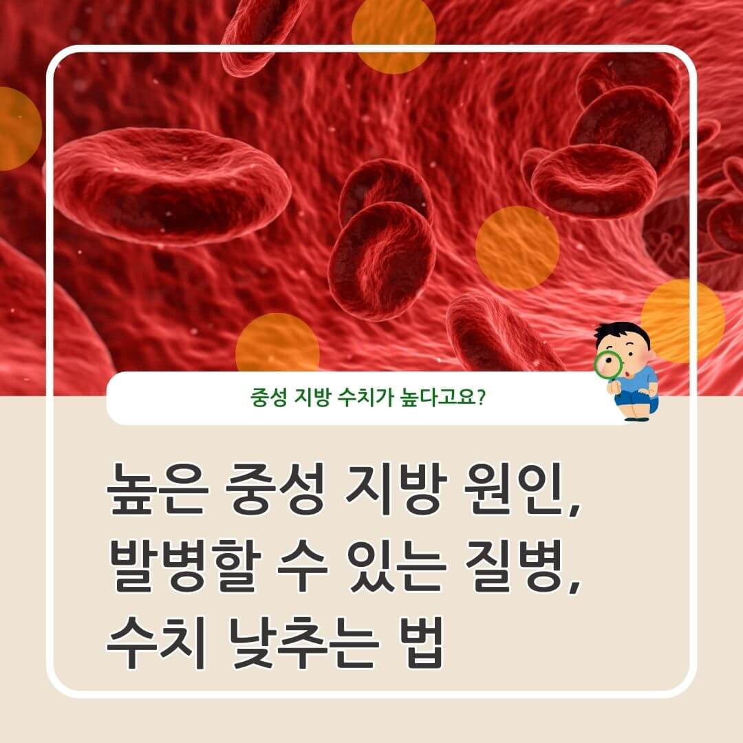 높은 중성 지방 원인