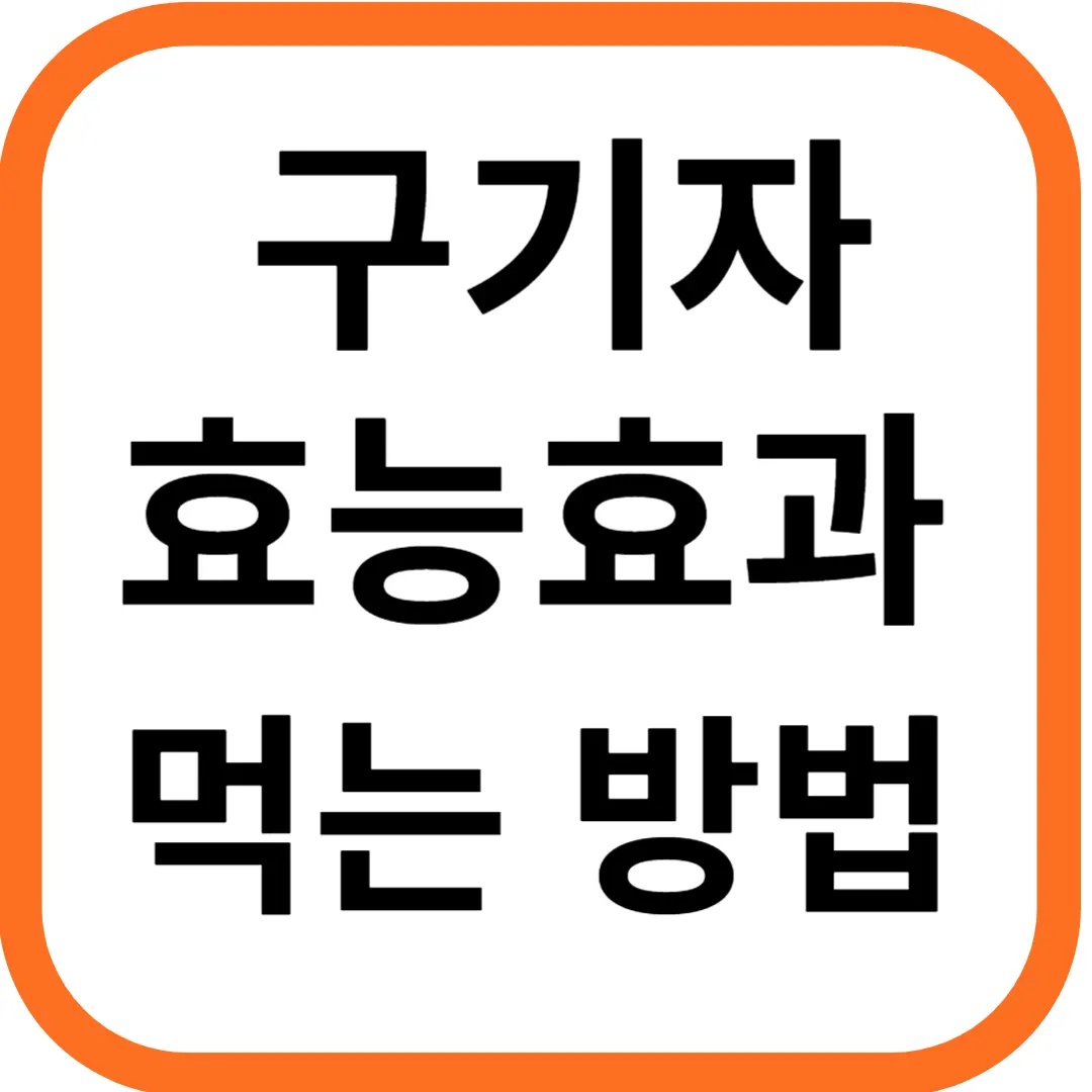 구기자 효능효과 및 먹는 방법