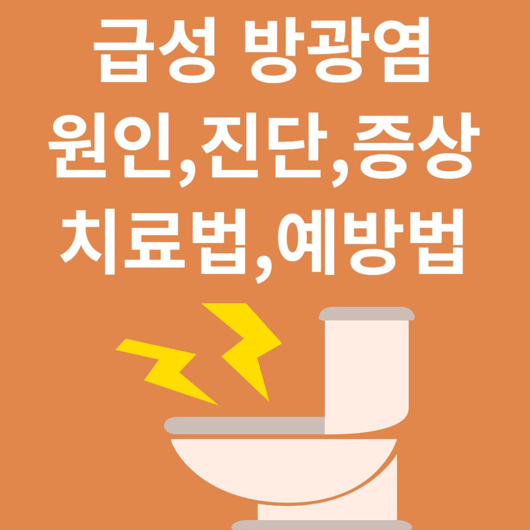 급성 방광염 증상