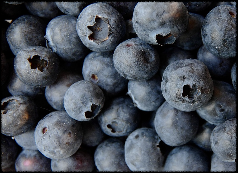 블루베리 효능 이미지_27