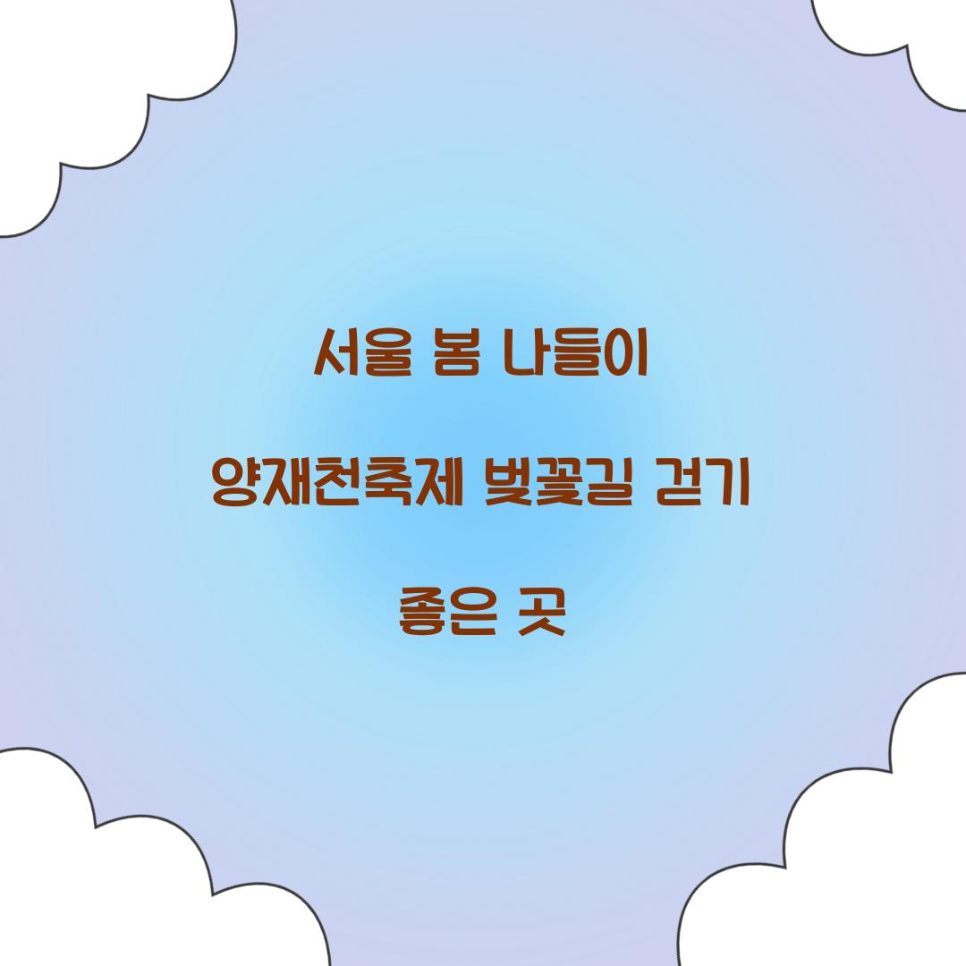 서울 양재천축제