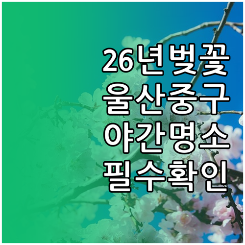 2026년 울산 중구 벚꽃 개화 시기..