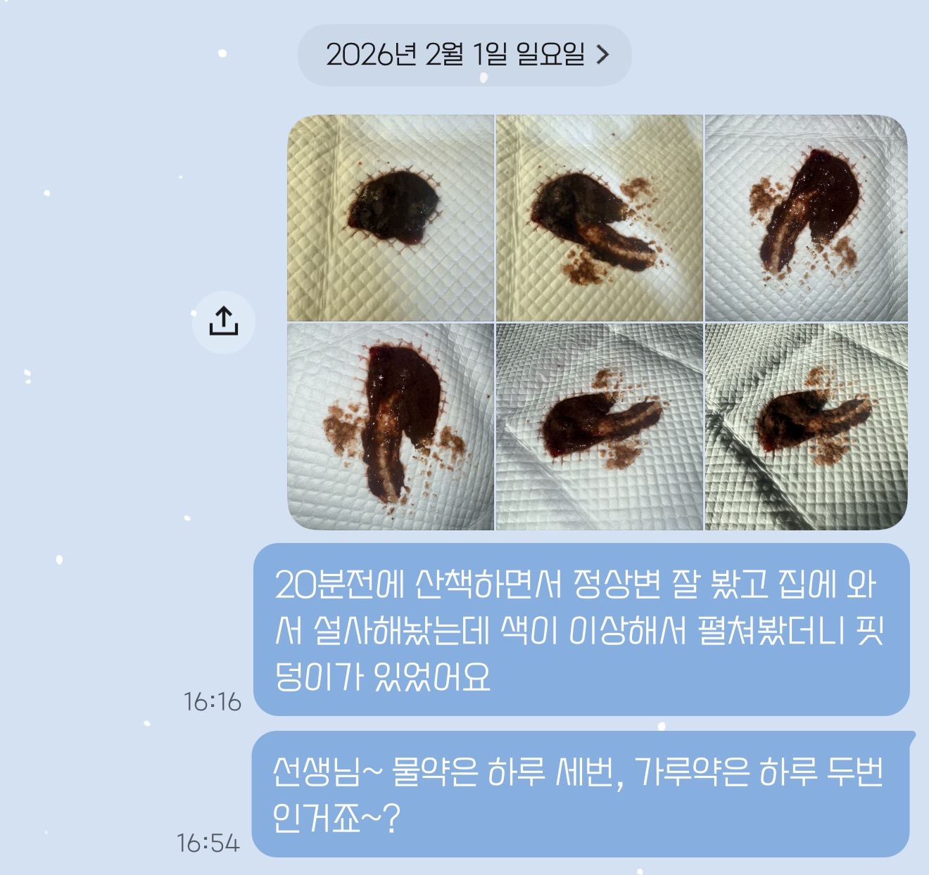 카카오톡