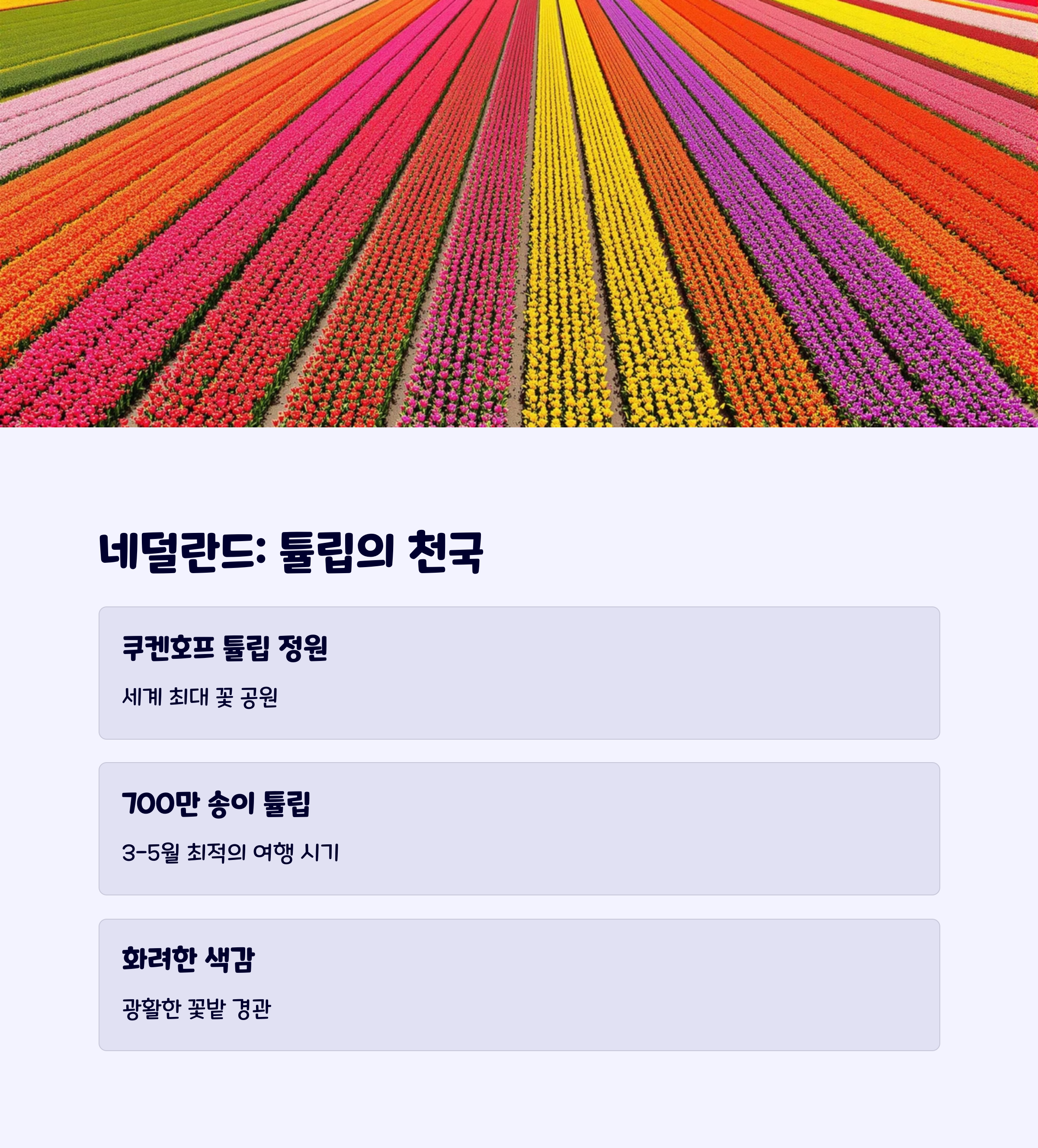 튤립여행