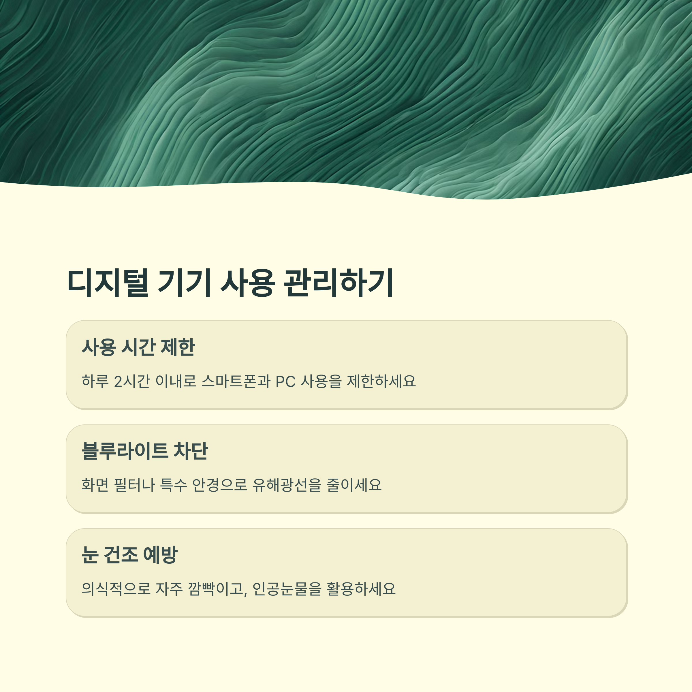 근시성 황반변성 관리법6