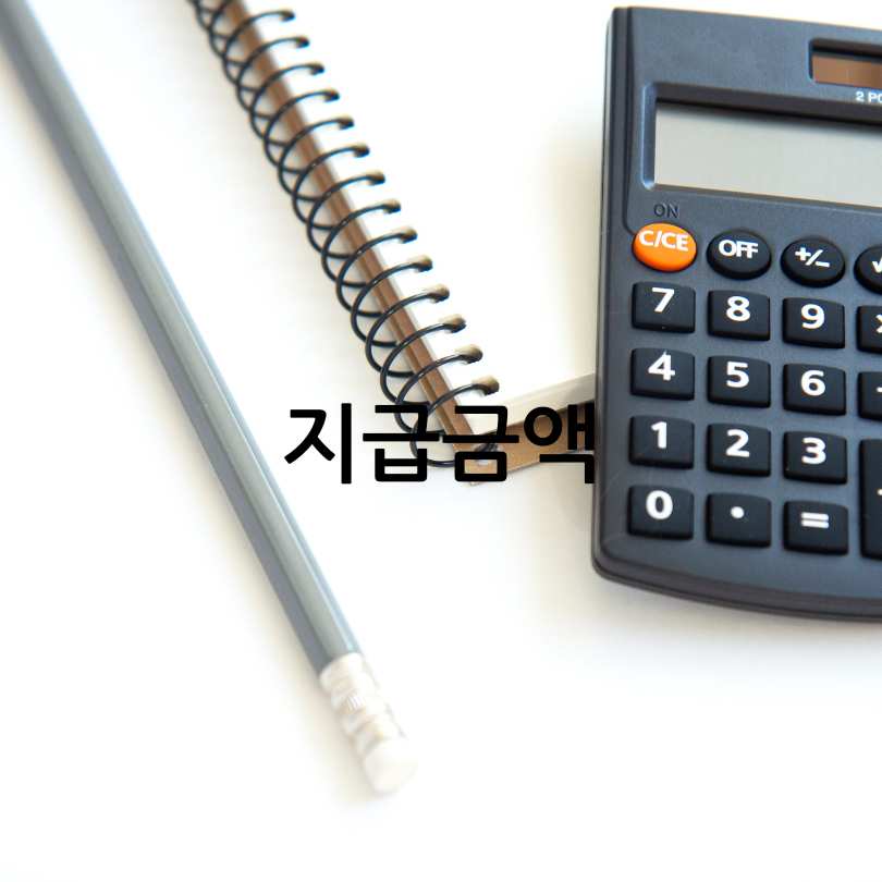 민생회복 소비쿠폰 2025 지급 계획! 미성년자 포함