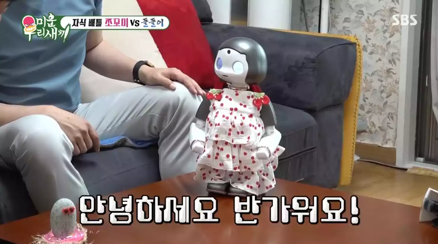 쪼꼬미