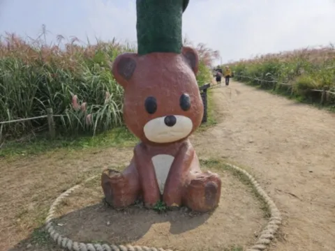 서울축제-요즘갈만한곳-하늘공원억세축제
