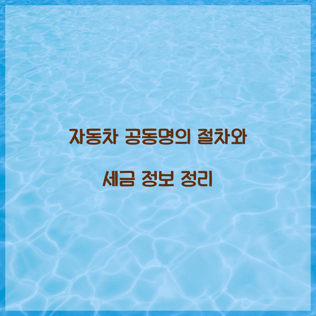 자동차 공동명의