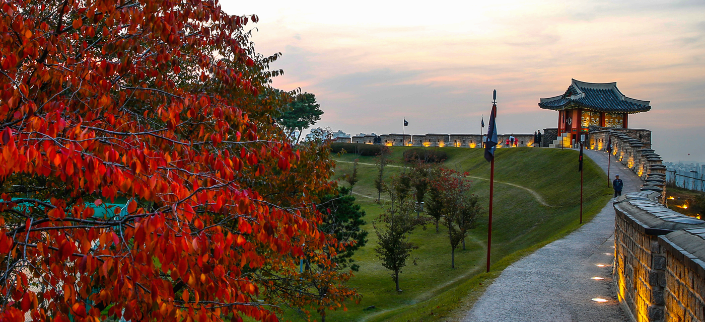 [서울 근교] 5월 철쭉, 유채꽃과 함께하는 수원화성❘열기구 예약 방법, 명성돼지갈비 맛집 정보