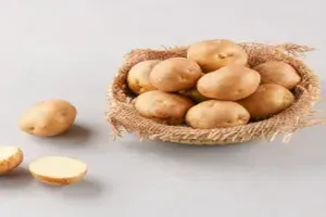 감자