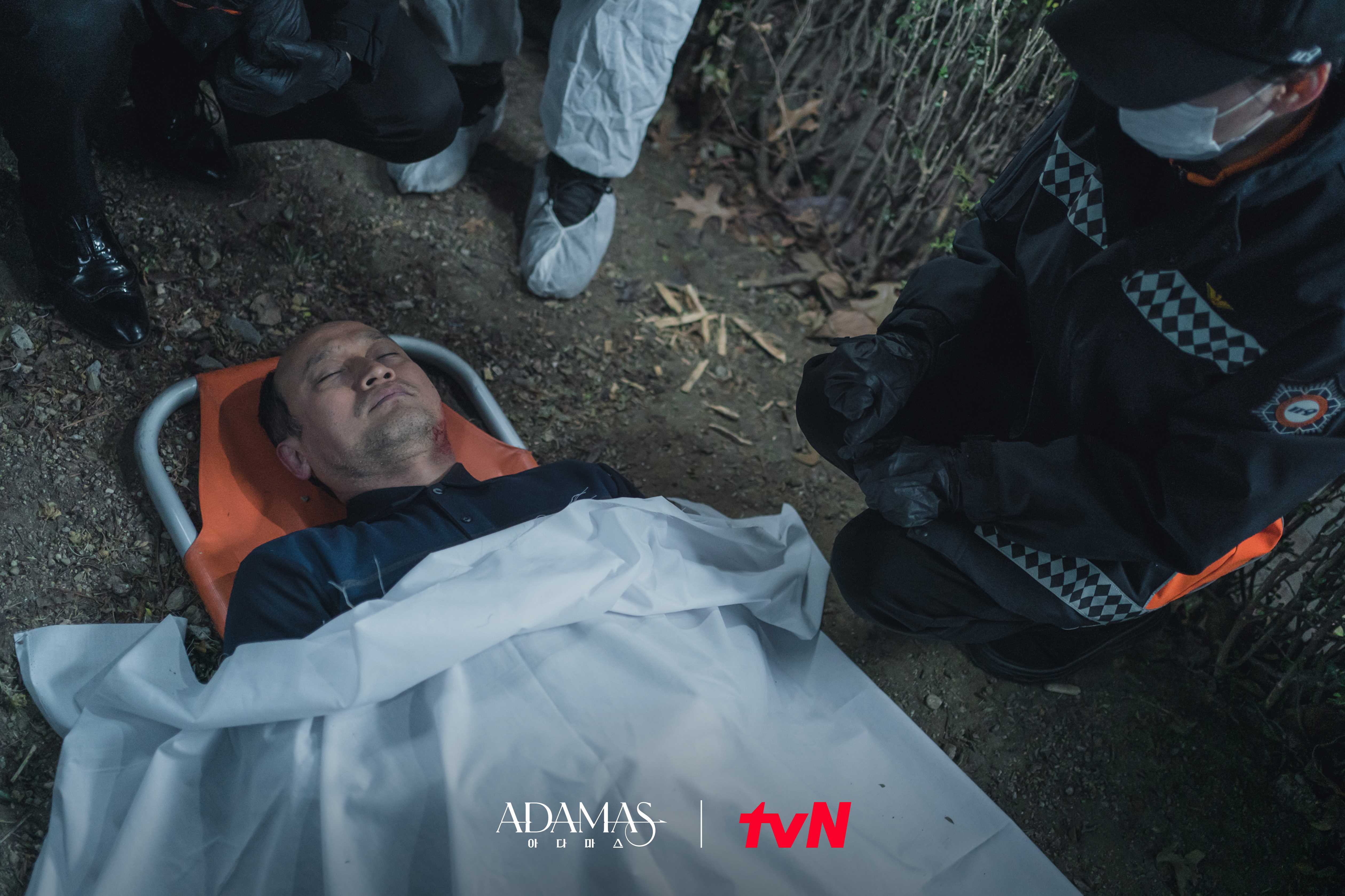 아다마스 스틸컷