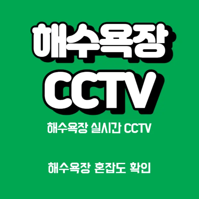 해수욕장-CCTV-혼잡도-확인방법