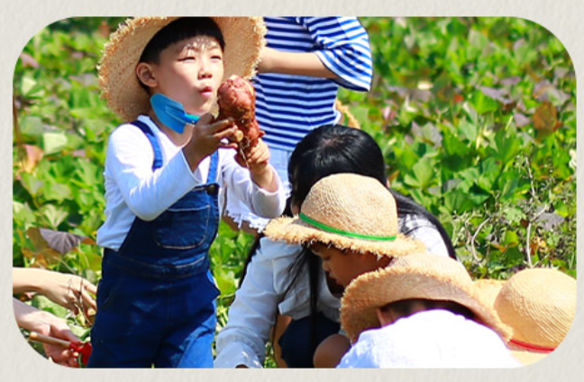 상하농원 뽀개기 시리즈 4탄❘체험프로그램 완정정복(종류, 예약 방법)