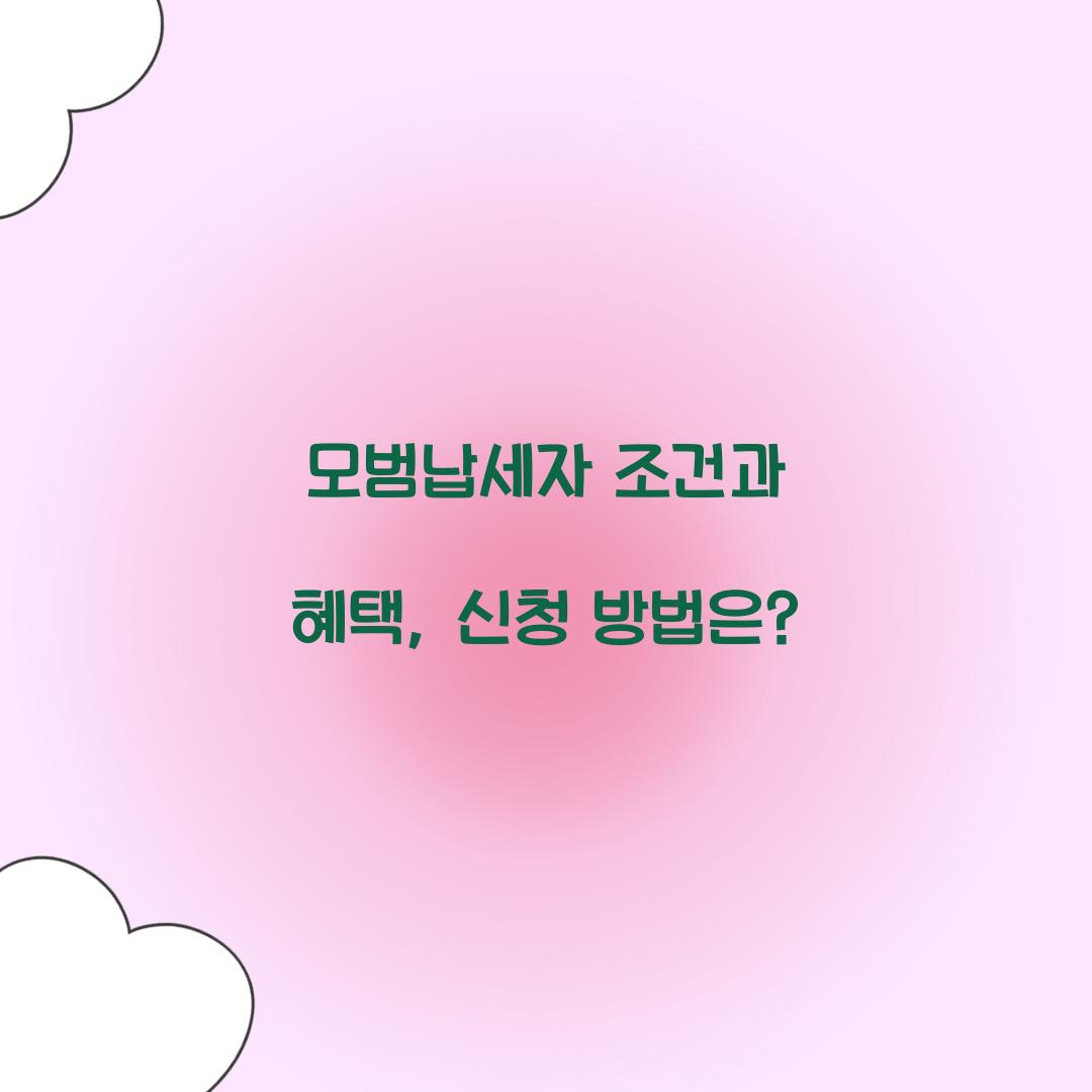 모범납세자 조건