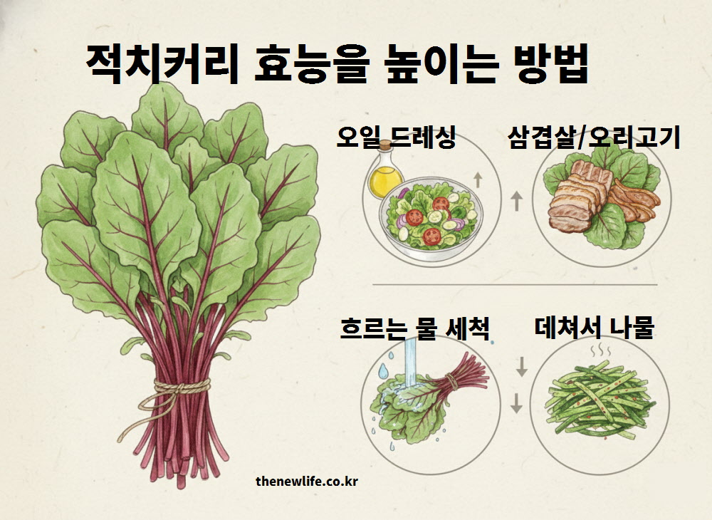 오일 드레싱, 고기 곁들임, 세척 방법 등 적치커리 효능을 극대화하는 조리법 안내 이미지