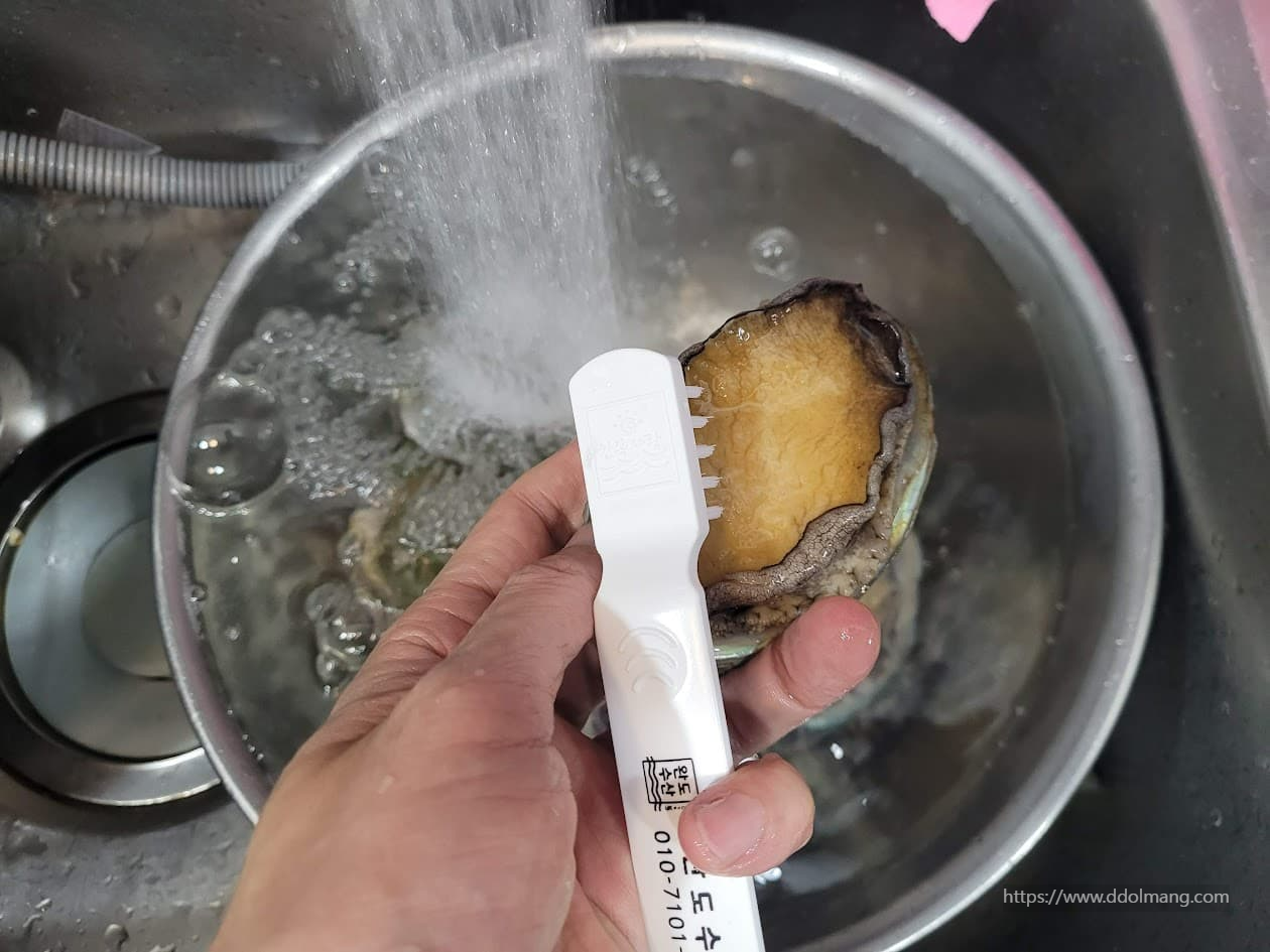 솔로 세척하는 전복