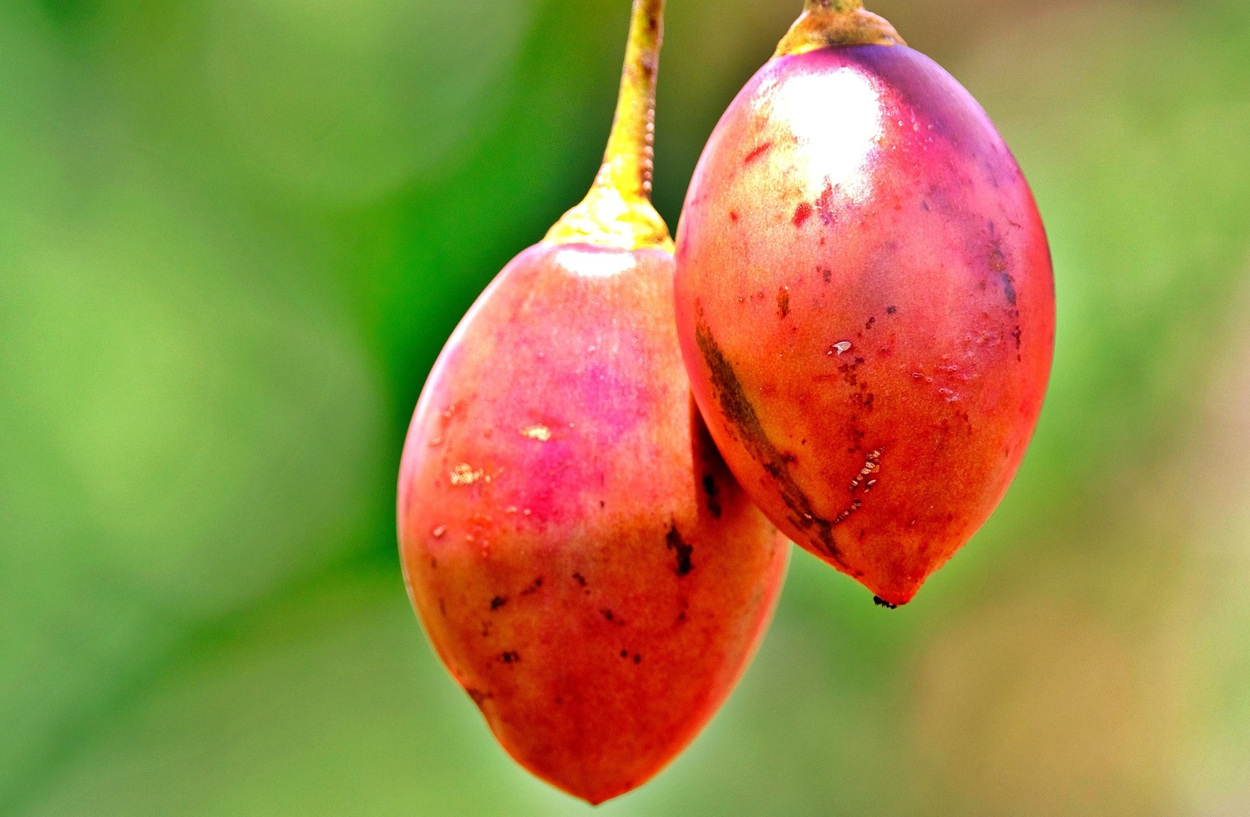 당뇨 없이도 신장이 망가지는 사람들 공통 습관
