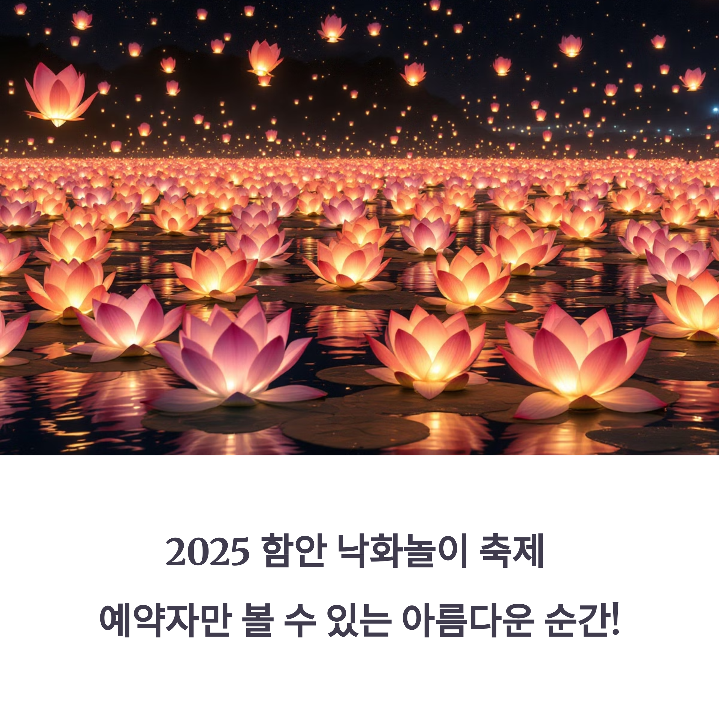 함안 낙화축제 예약 꿀팁